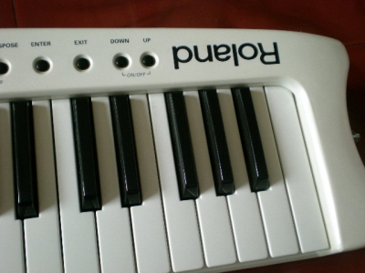 DSCN1288.JPG