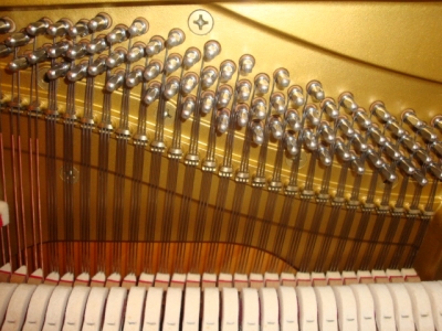 ������ UX-5  06.JPG