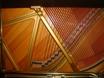  UX-5  15.JPG
