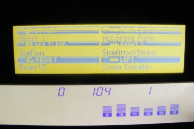 DSCF7004.JPG