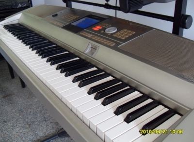 305.jpg