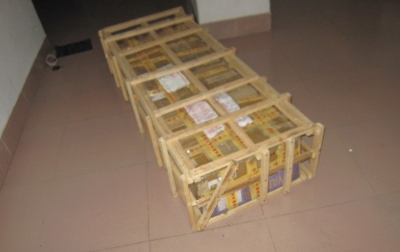 �����ڷ�ס������һʧ