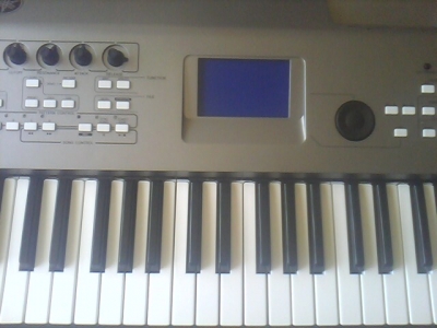 IMG0290A.jpg