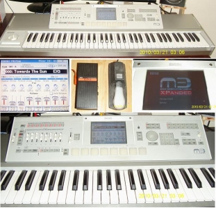 m3.JPG