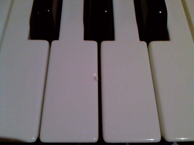 ����G�����˺�