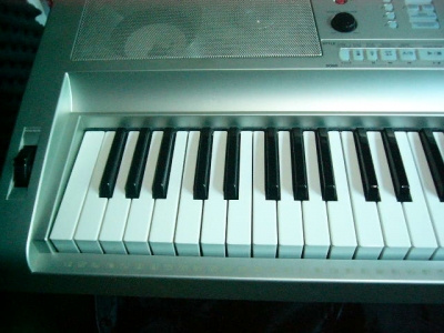 P1050750.JPG