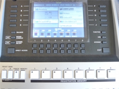 P1020452_.jpg