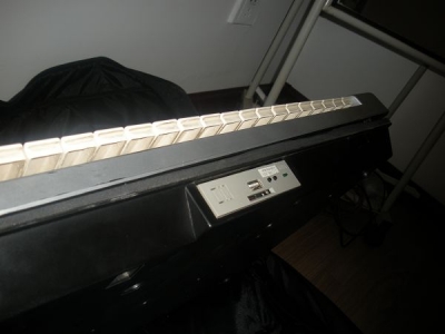 DSCN8827.jpg