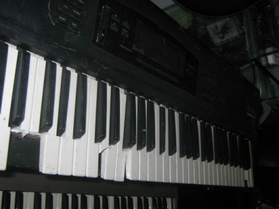 ������С IMG_2017.jpg