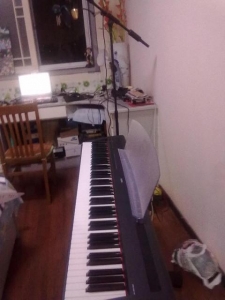 20100718150.jpg