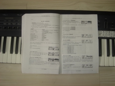 DSC06180.JPG