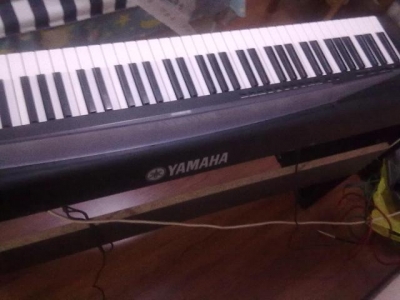 20100718154.jpg