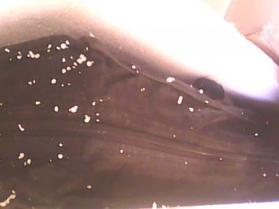IMG0155A.jpg