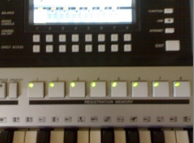 565.jpg