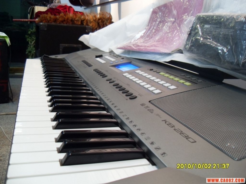 SDC10286.JPG