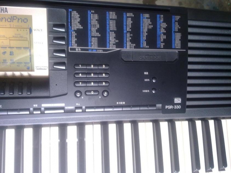 20100906259.jpg