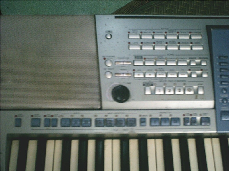 PICT0005_.jpg