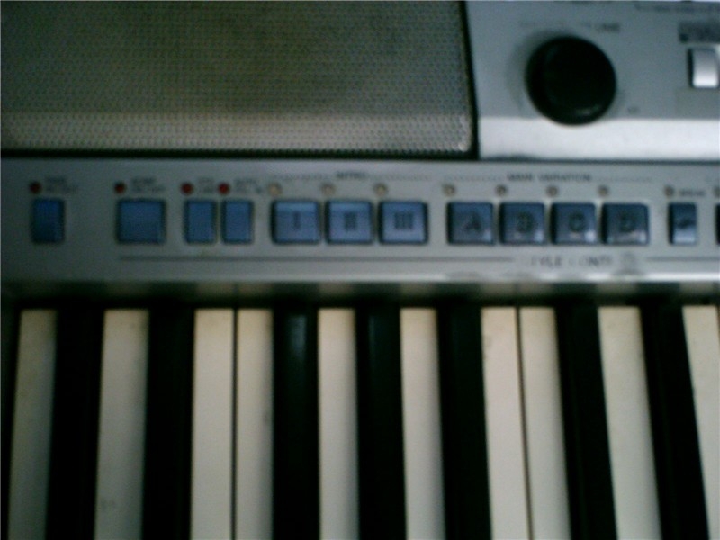 PICT0010_.jpg