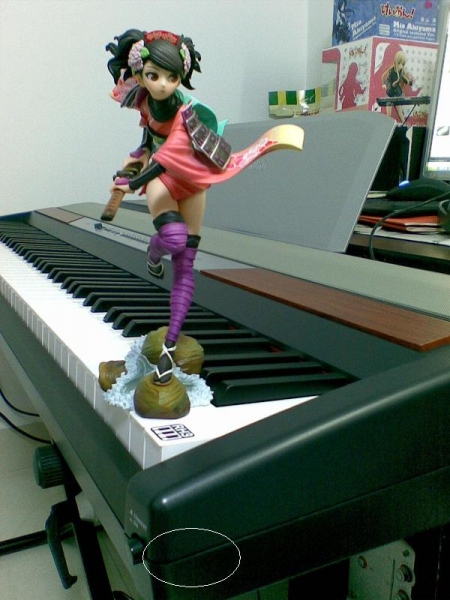 20101115_001.JPG