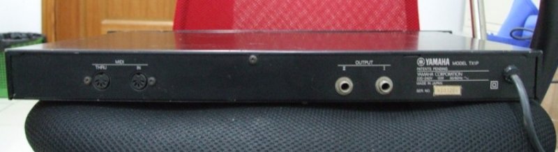 55.jpg