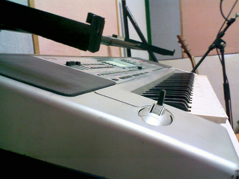 pa50 (0).jpg