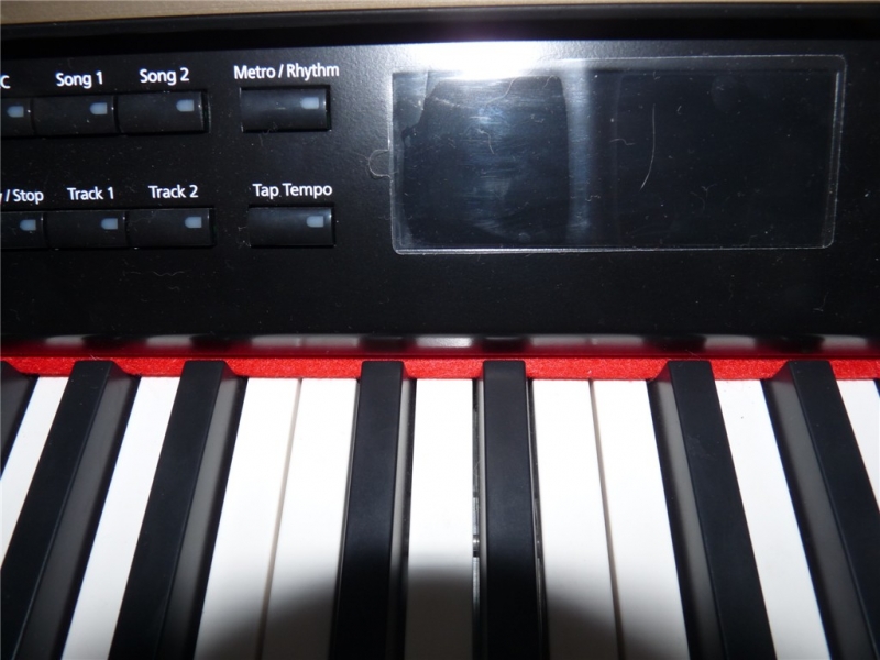 P1020564_.jpg