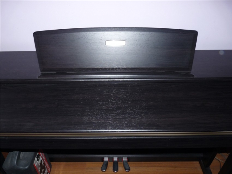 p1020560_.jpg