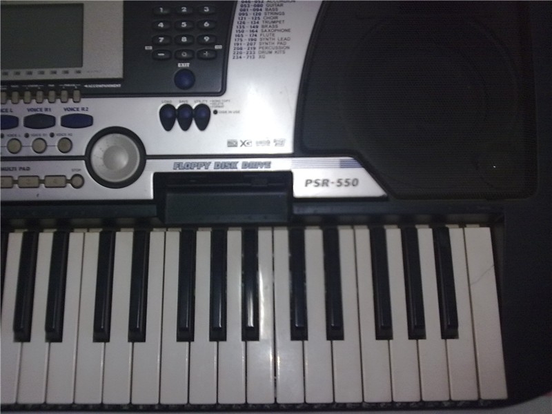 PSR550-��_����.jpg