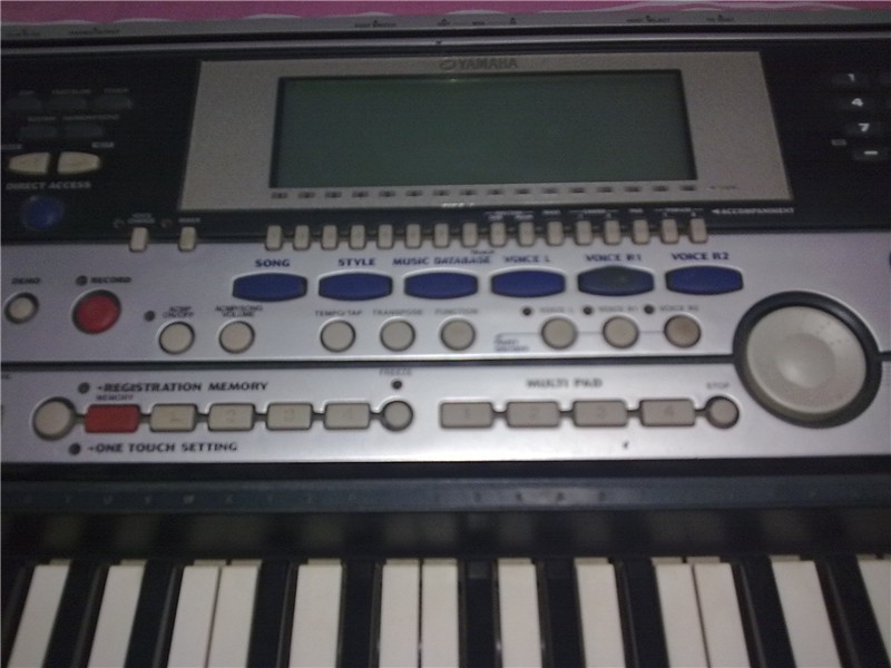 PSR550-��_����.jpg