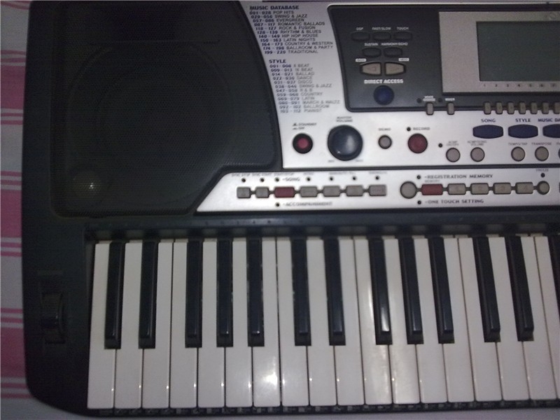 PSR550-��_����.jpg