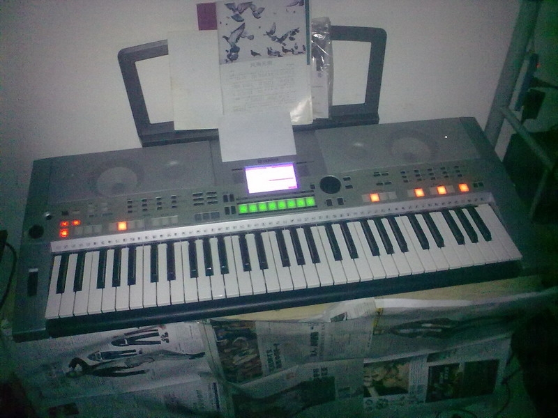 20101126062.jpg