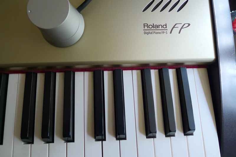 P1000838.JPG