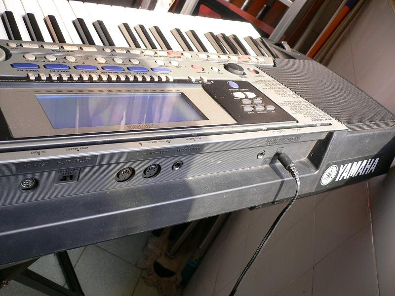 P1000061.JPG