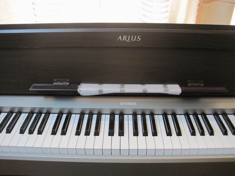 ������С IMG_3513.JPG