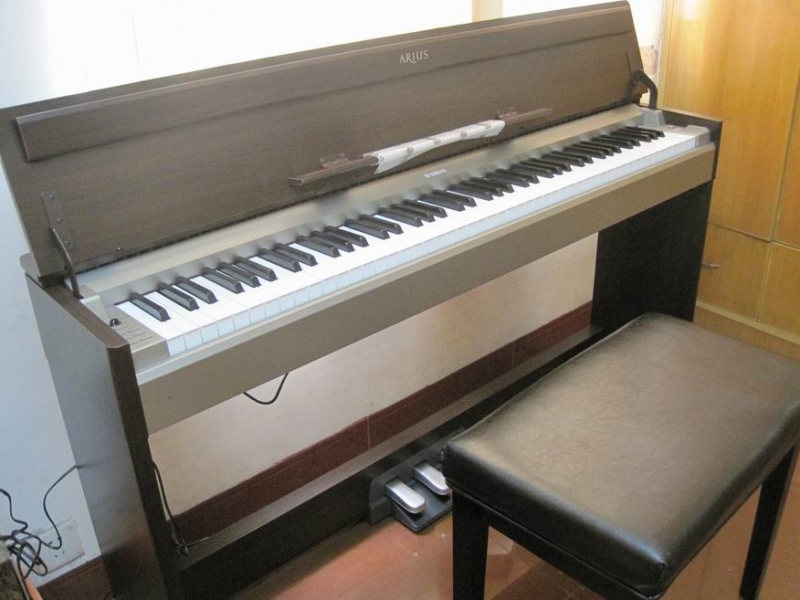 ������С IMG_3514.JPG