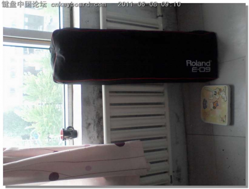 �����ٴ��������