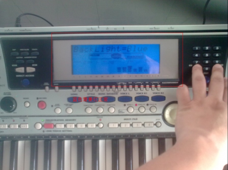 ��ɫ����������