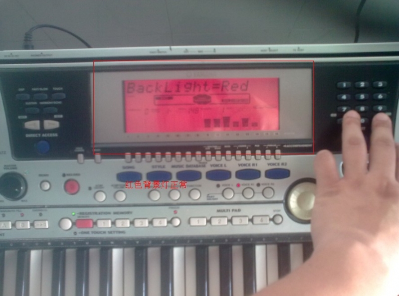 ��ɫ����������