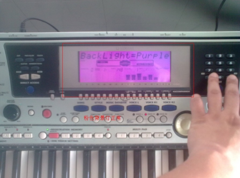 ��ɫ����������