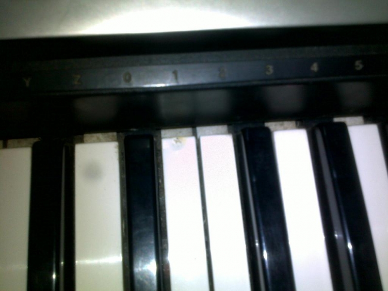 20110730323.JPG