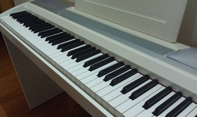 IMAG0095_001.jpg