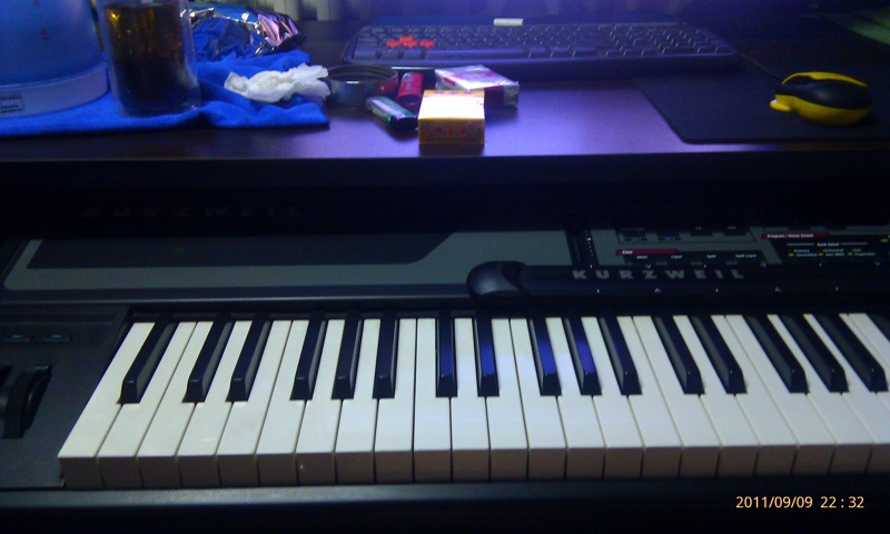 IMAG0217.jpg