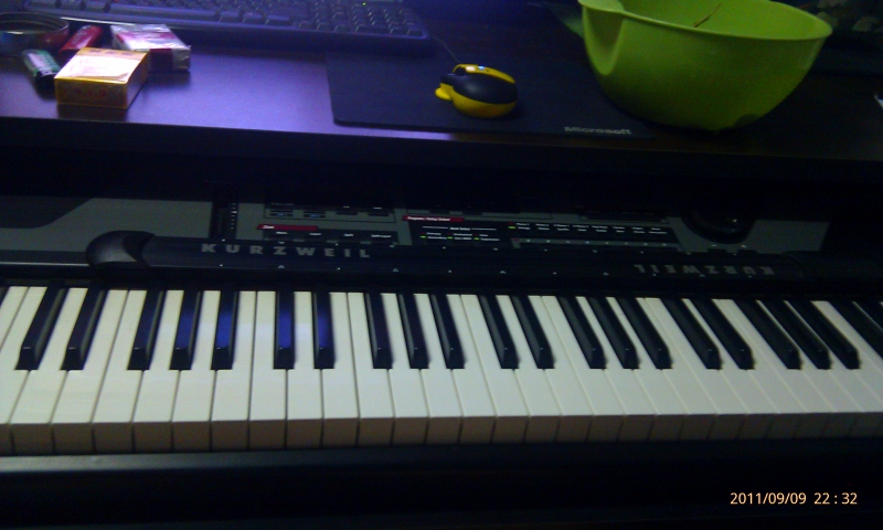 IMAG0219.jpg