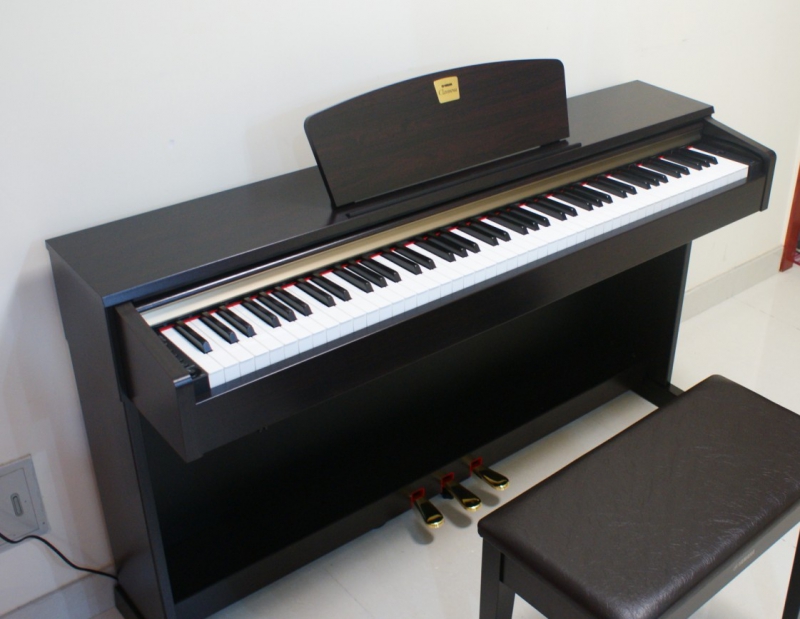 p01.jpg