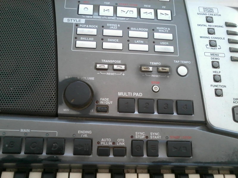 ������Щ��ɫ