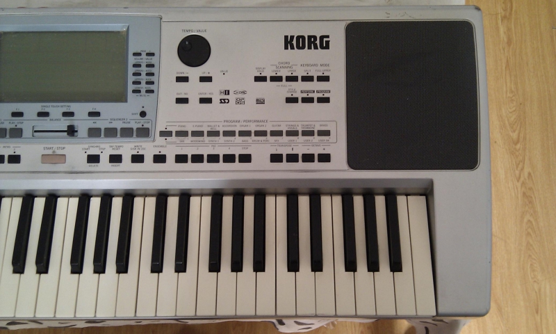 IMAG1084.jpg