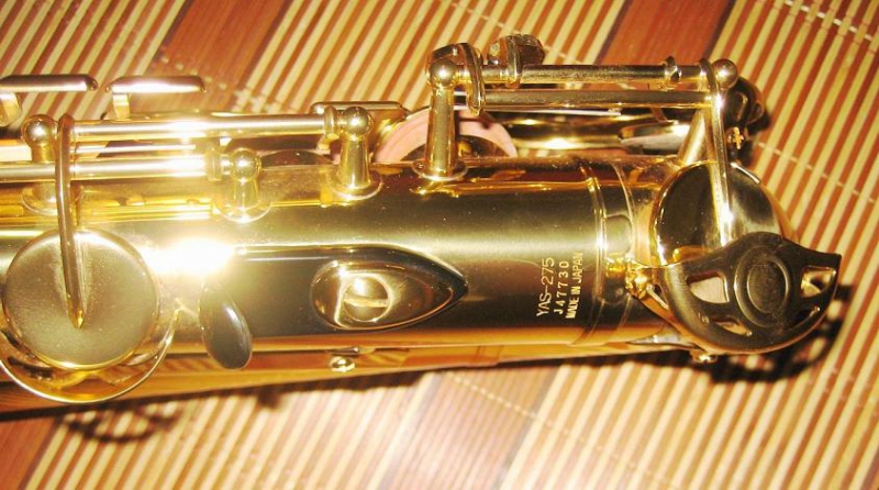 YAS275 011_conew1.JPG