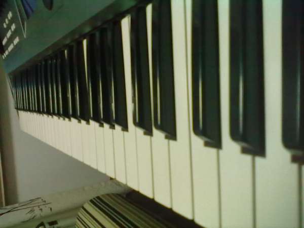 ���̣�������