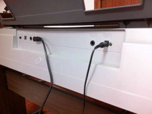 ������С IMG_1022.JPG