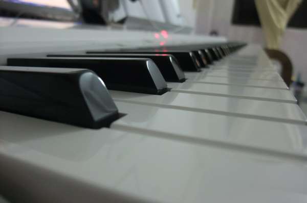 DSCF2738.JPG